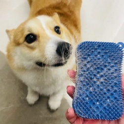 Pet Products